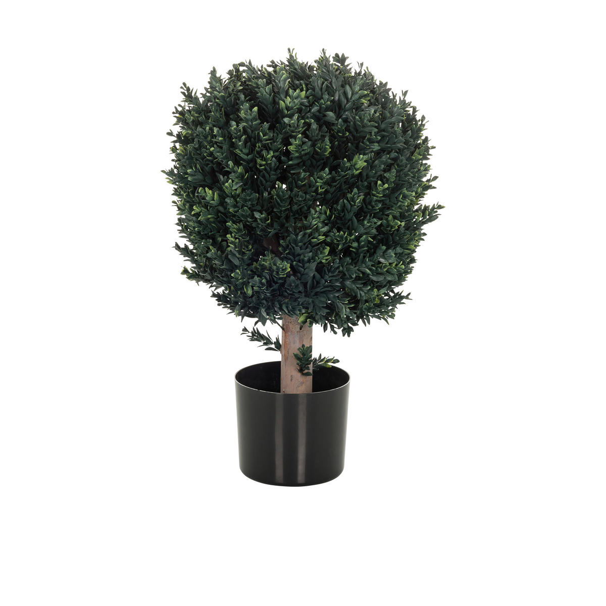 KUNSTPFLANZE Buchsbaum  - Schwarz/Braun, Basics, Kunststoff (40/65/40cm) - MID.YOU