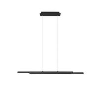 PENDUL LED - negru, Design, metal (110,0/150,0/8,5cm)