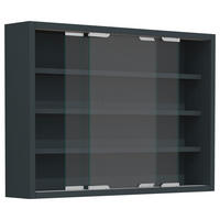 HÄNGEVITRINE  in Anthrazit  - Anthrazit/Silberfarben, MODERN, Glas/Holzwerkstoff (57/40/10cm) - MID.YOU