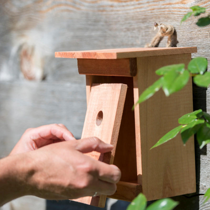 VOGELHAUS - Naturfarben, Basics, Holz (17/24,5/17cm)
