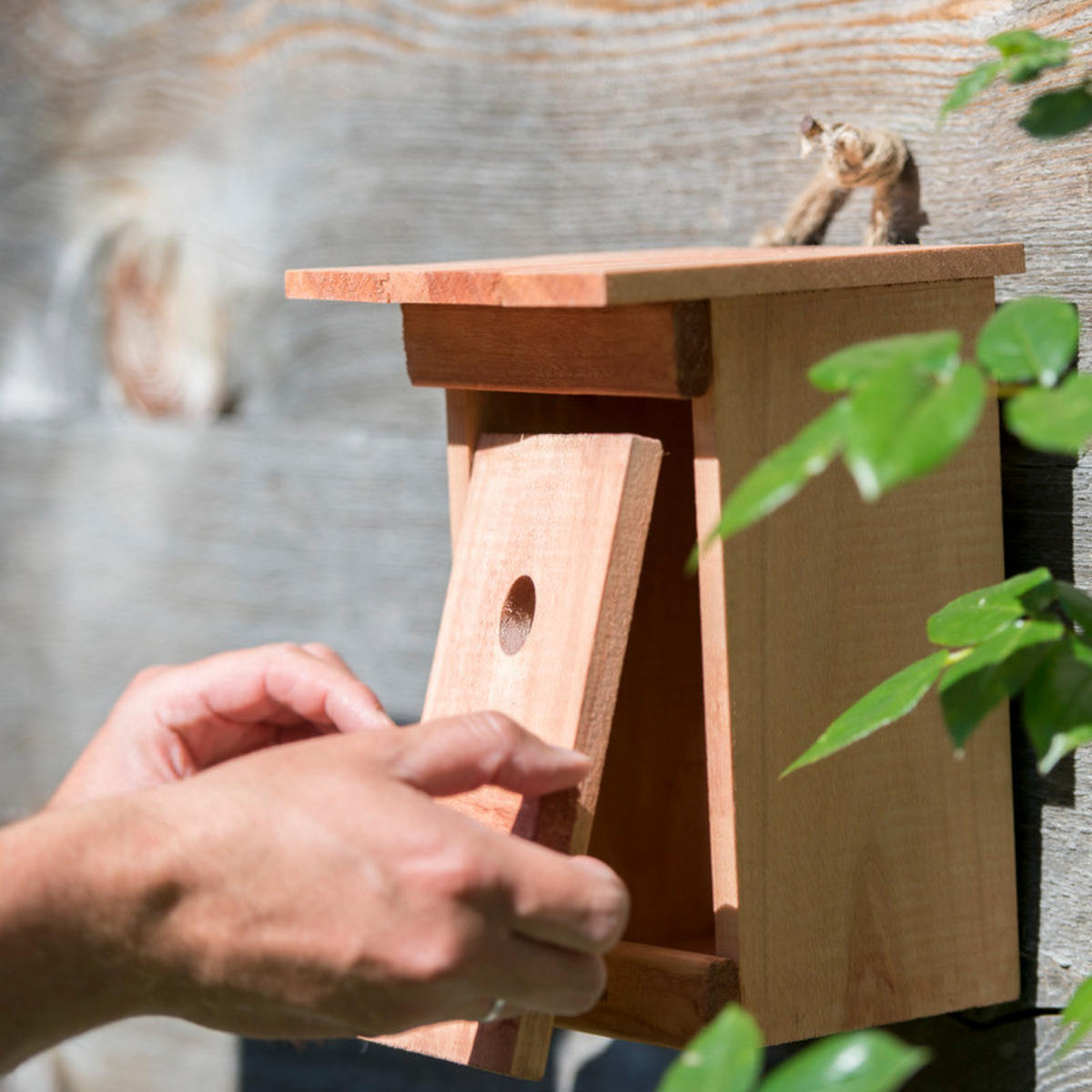 VOGELHAUS - Naturfarben, Basics, Holz (17/24,5/17cm)