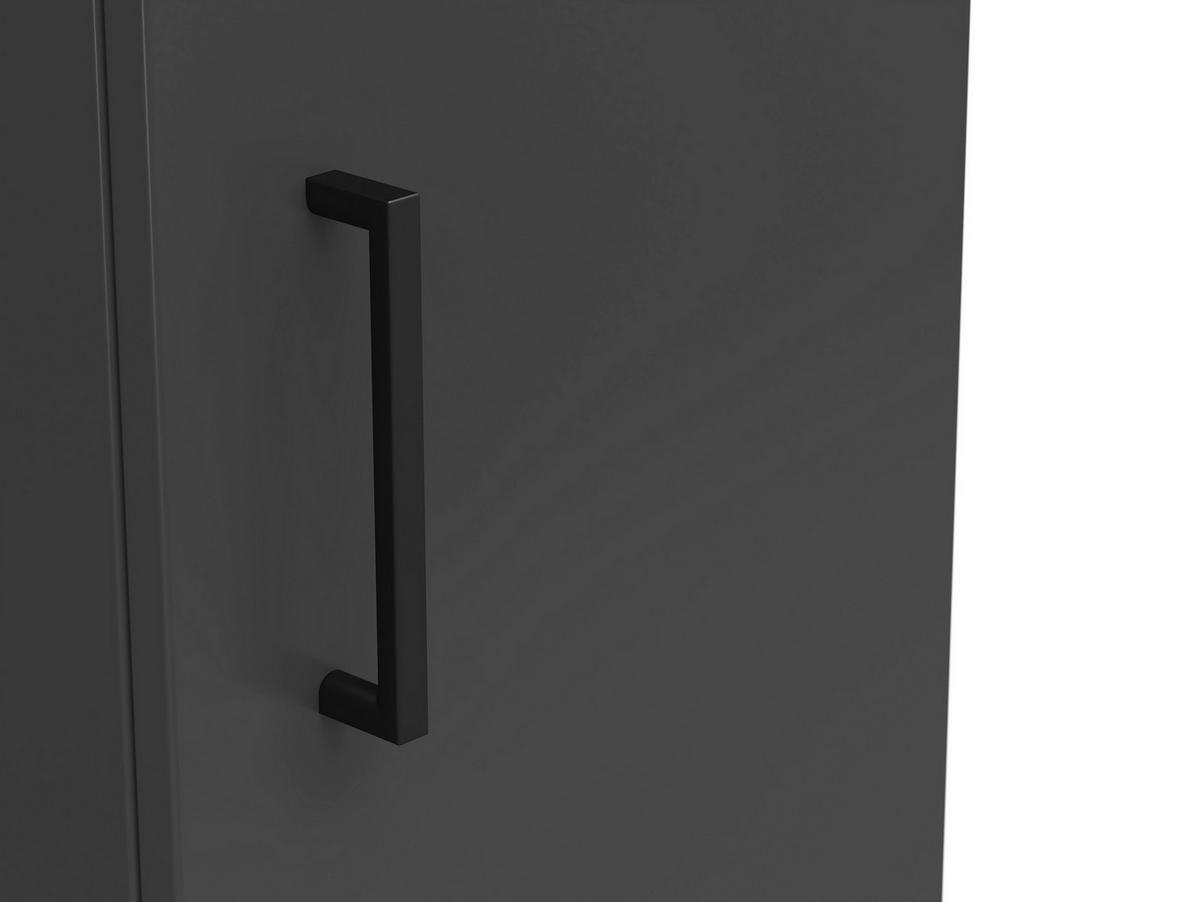MEHRZWECKSCHRANK 30/115/40 cm  - Anthrazit/Schwarz, Modern, Holzwerkstoff/Kunststoff (30/115/40cm) - Carryhome