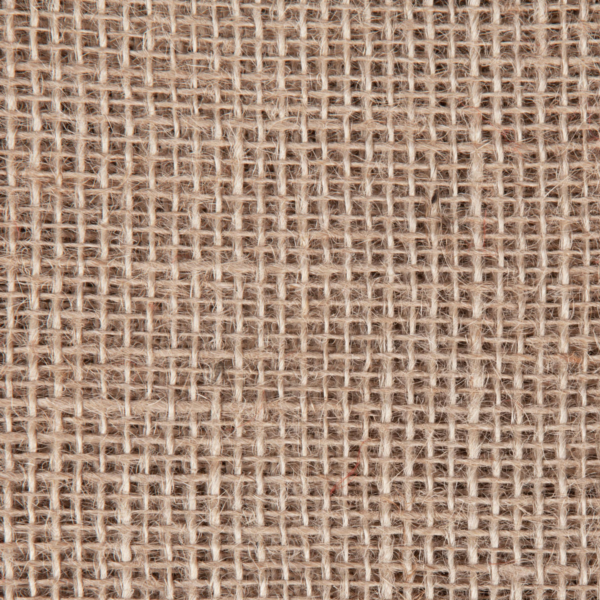 SCHUTZPLANE  - Naturfarben, Basics, Naturmaterialien (100/400cm)