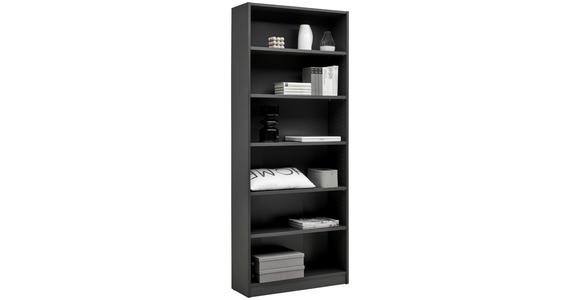 REGAL Anthrazit - Anthrazit, KONVENTIONELL, Holzwerkstoff (80/199,2/28cm) - Carryhome