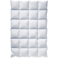 WINTERDECKE  135/200 cm 20 % Federn 80 % Daunen  - Basics, Textil (135/200cm) - Billerbeck