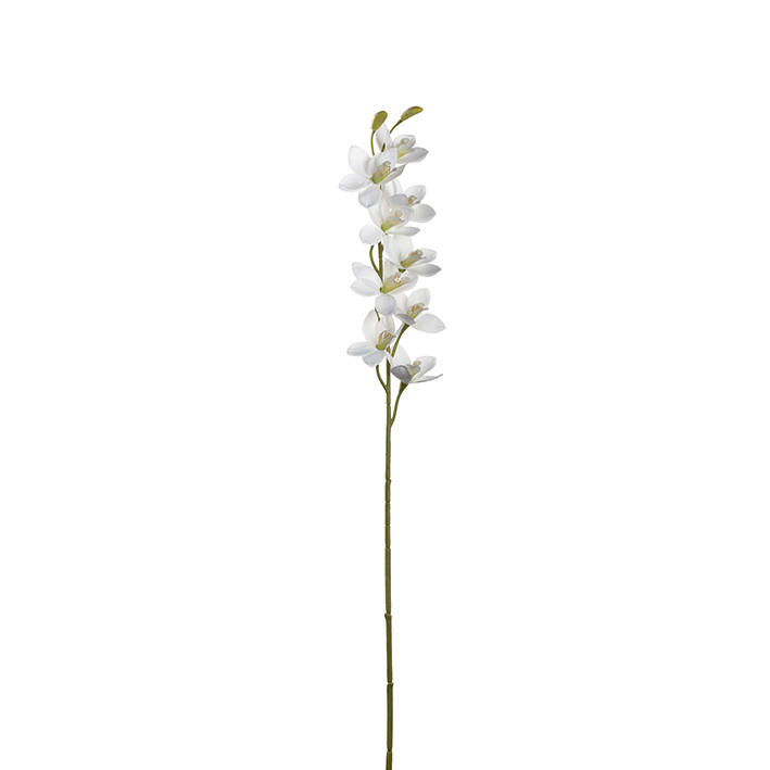 UKRASNA GRANČICA - bela/braon, Osnovno, metal/plastika (3,00/76,00/5,00cm) - Leonardo