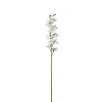 UKRASNA GRANČICA - bela/braon, Osnovno, metal/plastika (3,00/76,00/5,00cm) - Leonardo