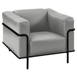 SESSEL in Echtleder Hellgrau  - Hellgrau/Schwarz, Design, Leder/Metall (91/67/96cm) - Johann Jakob