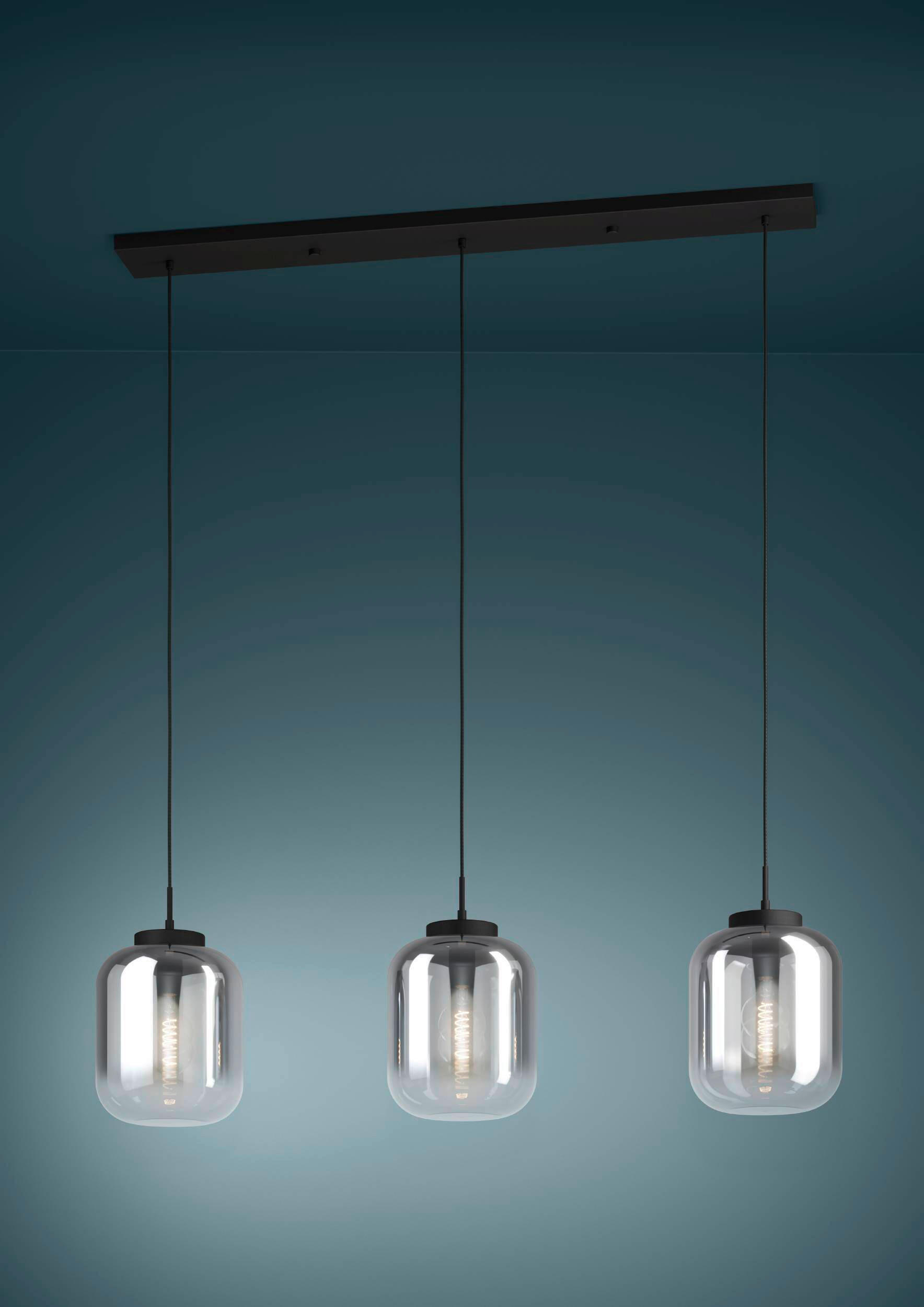 ZÁVĚSNÉ SVÍTIDLO,  25/150/126 cm - černá, Basics, kov/sklo (25/150/126cm)