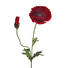 KUNSTBLUME Mohn - Rot/Grün, Trend, Kunststoff (84cm) KUNSTBLUME Mohn - Rot/Grün, Trend, Kunststoff (84cm)