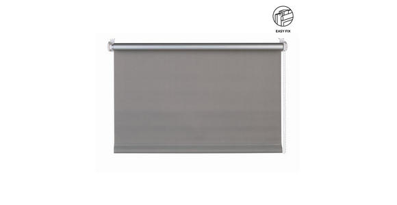 ROLLO 100/160 cm  - Grau, Design, Textil (100/160cm) - Homeware