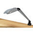 SCHREIBTISCHLEUCHTE - Silberfarben, KONVENTIONELL, Kunststoff/Metall (30/6/7cm) - Paidi SCHREIBTISCHLEUCHTE - Silberfarben, KONVENTIONELL, Kunststoff/Metall (30/6/7cm) - Paidi