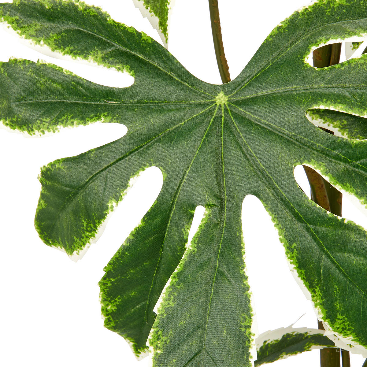 KUNSTPFLANZE Aralia 120 cm  - Grün, Basics, Kunststoff (120cm)
