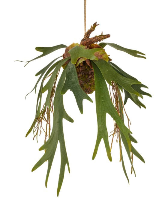 KUNSTPFLANZE Farn 64 cm  - Braun/Grün, Basics, Kunststoff (64cm)