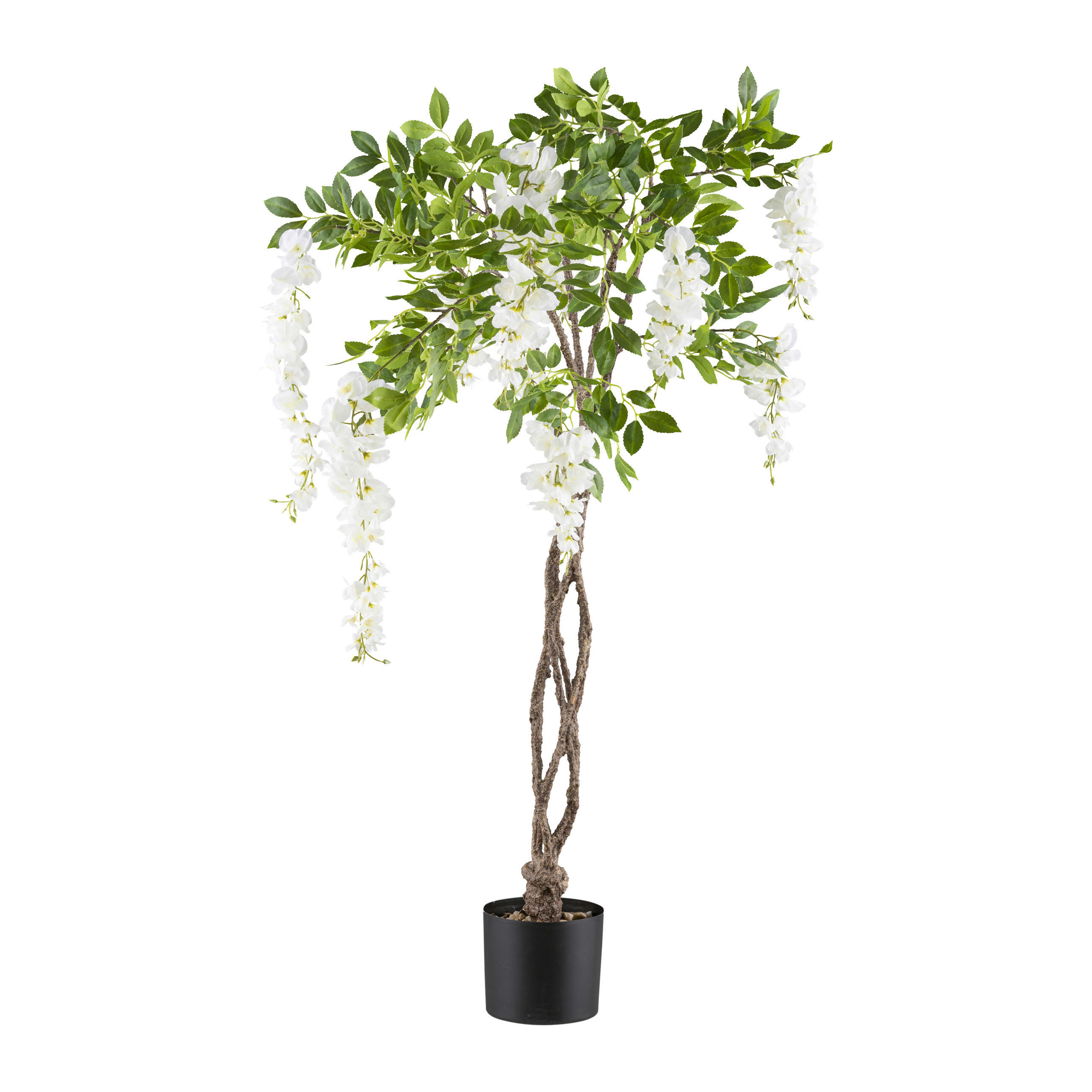KUNSTPFLANZE 115 cm  - Schwarz/Braun, Design, Kunststoff (115cm) - P & B