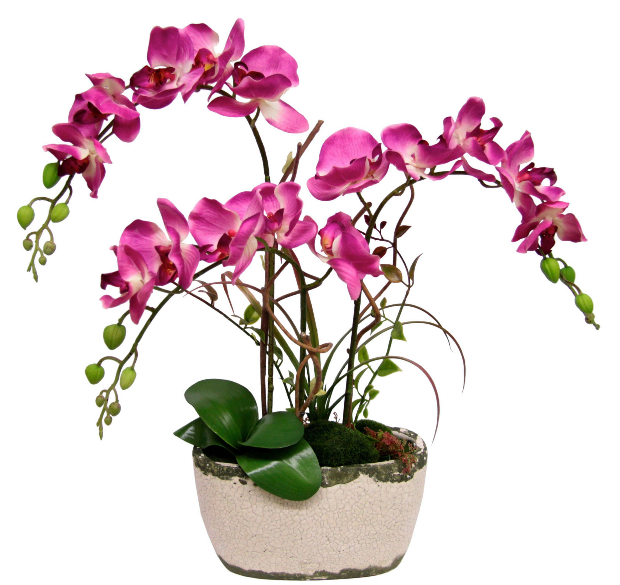 KUNSTBLUME  - Braun/Rosa, Basics, Kunststoff (55/57cm)