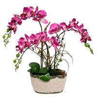 KUNSTBLUME  - Braun/Rosa, Basics, Kunststoff (55/57cm)
