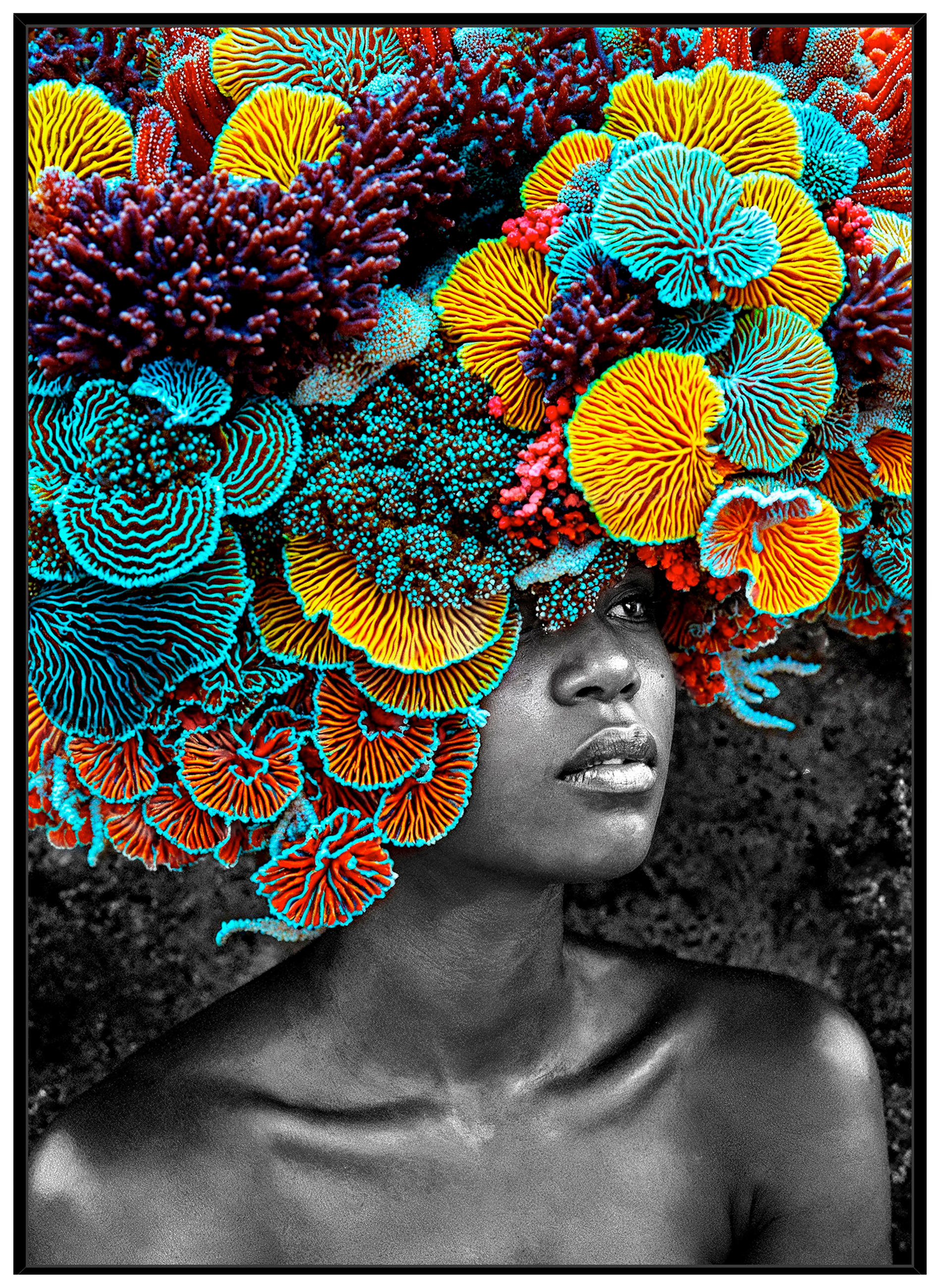 Aceasta este imaginea corespunzatoare acestui obiect