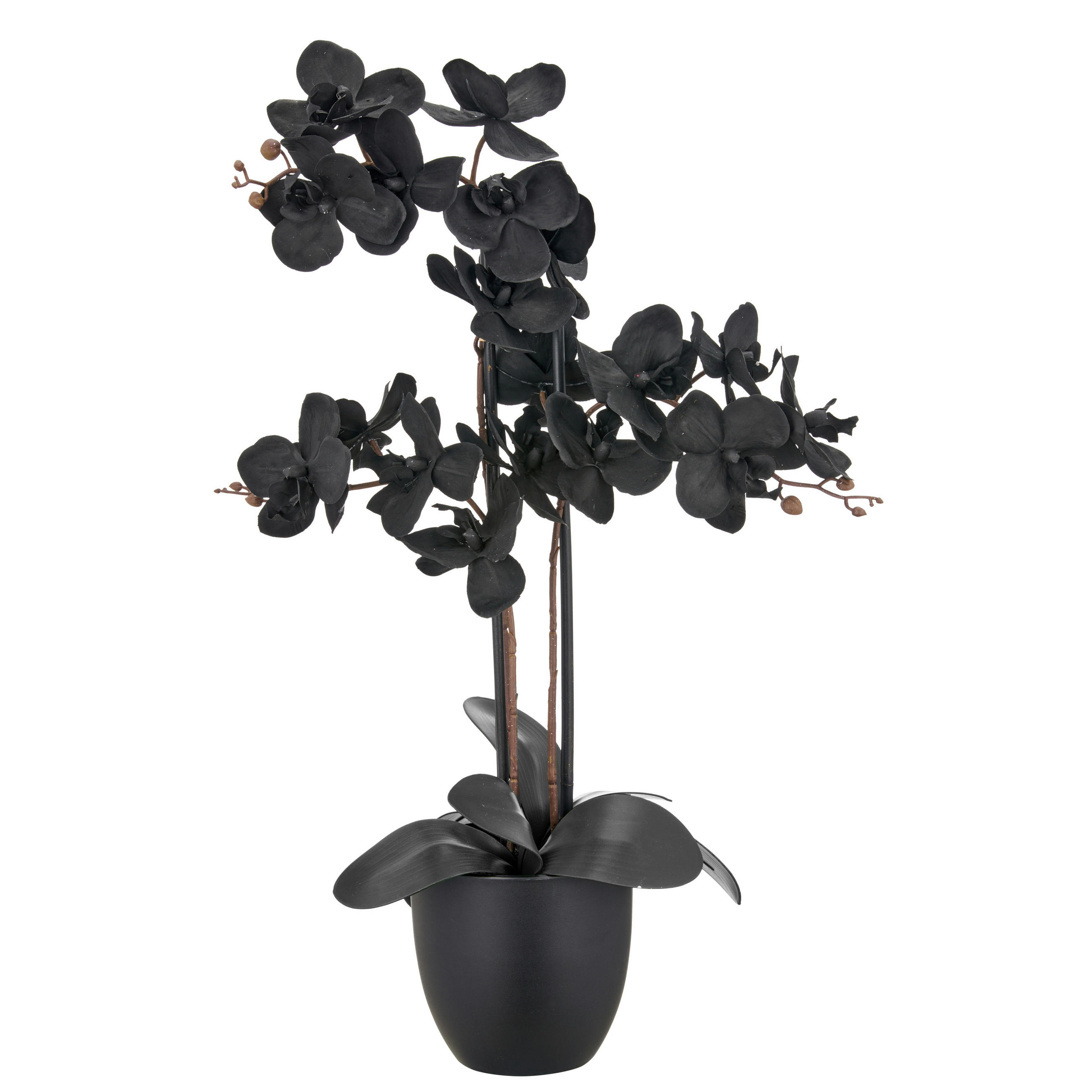 KUNSTPFLANZE 70 cm  - Schwarz, Basics, Kunststoff (70cm)