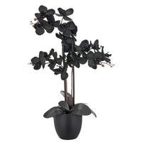KUNSTPFLANZE 70 cm  - Schwarz, Basics, Kunststoff (70cm)