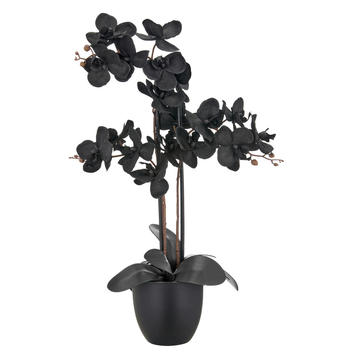 KUNSTPFLANZE 70 cm  - Schwarz, Basics, Kunststoff (70cm)