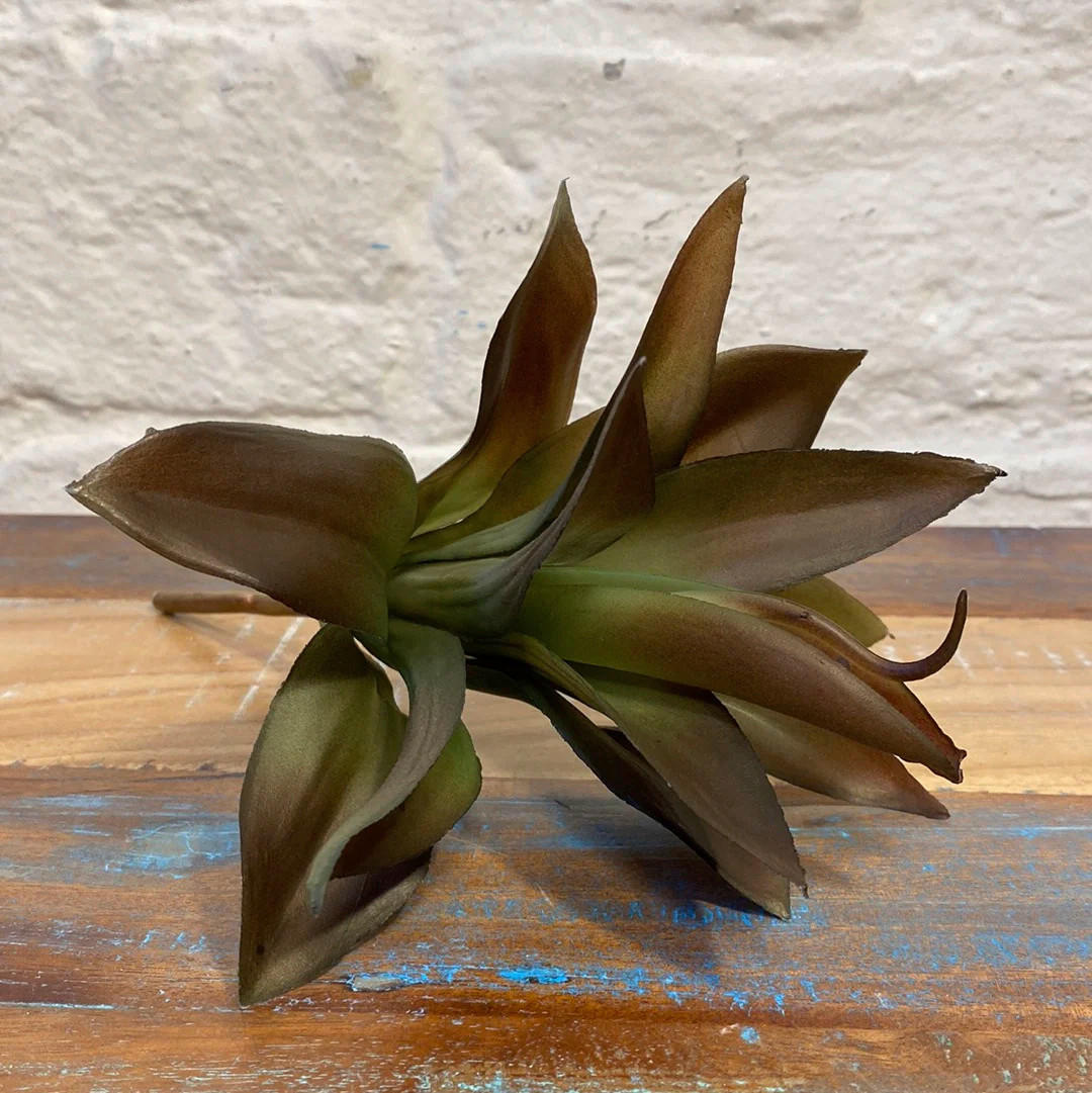 UMETNA ROŽA - zelena/rjava, Basics (24/15/15cm)