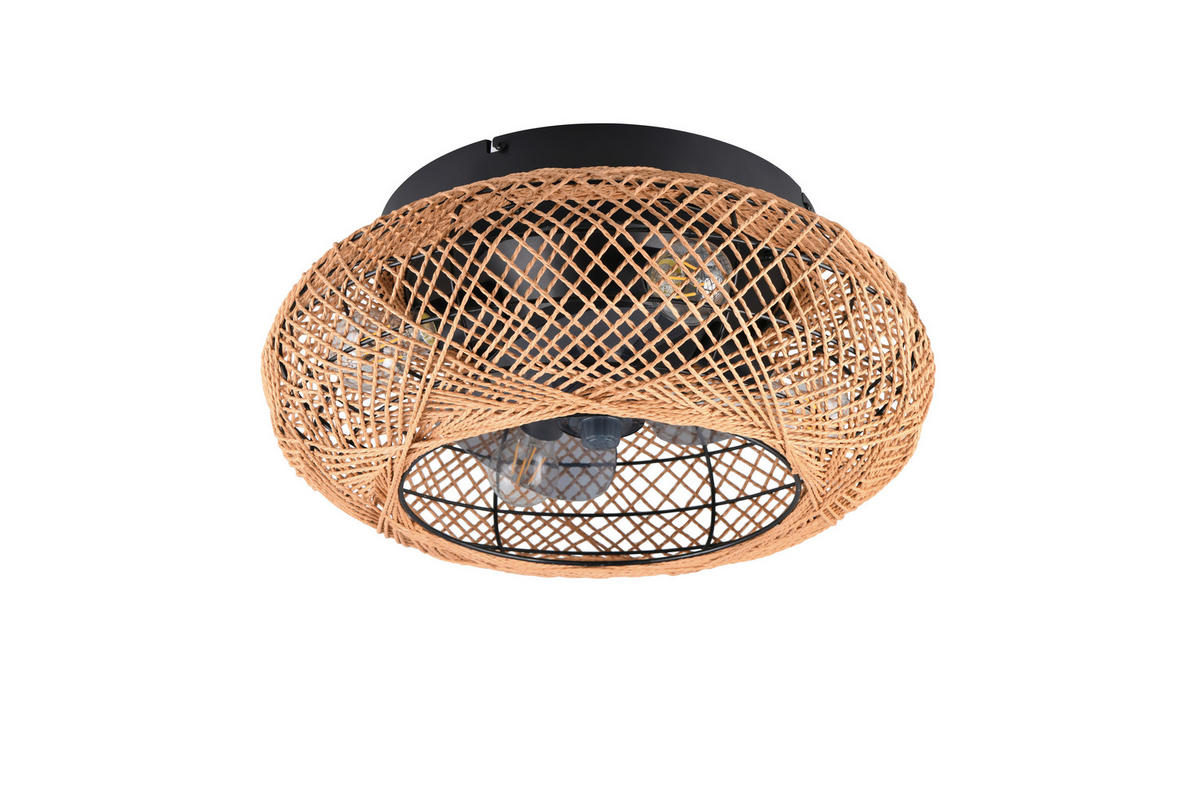 DECKENVENTILATOR  50/21,5 cm    - Transparent/Schwarz, Design, Kunststoff/Metall (50/21,5cm)