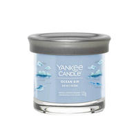 DIŠEČA SVEČA - Basics, kovina/steklo (8/7,1/8cm) - Yankee Candle