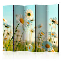 PARAVENT mit 5  Flügel - Hellgrün/Hellblau, Basics, Holz/Textil (225/172/3cm) - artgeist