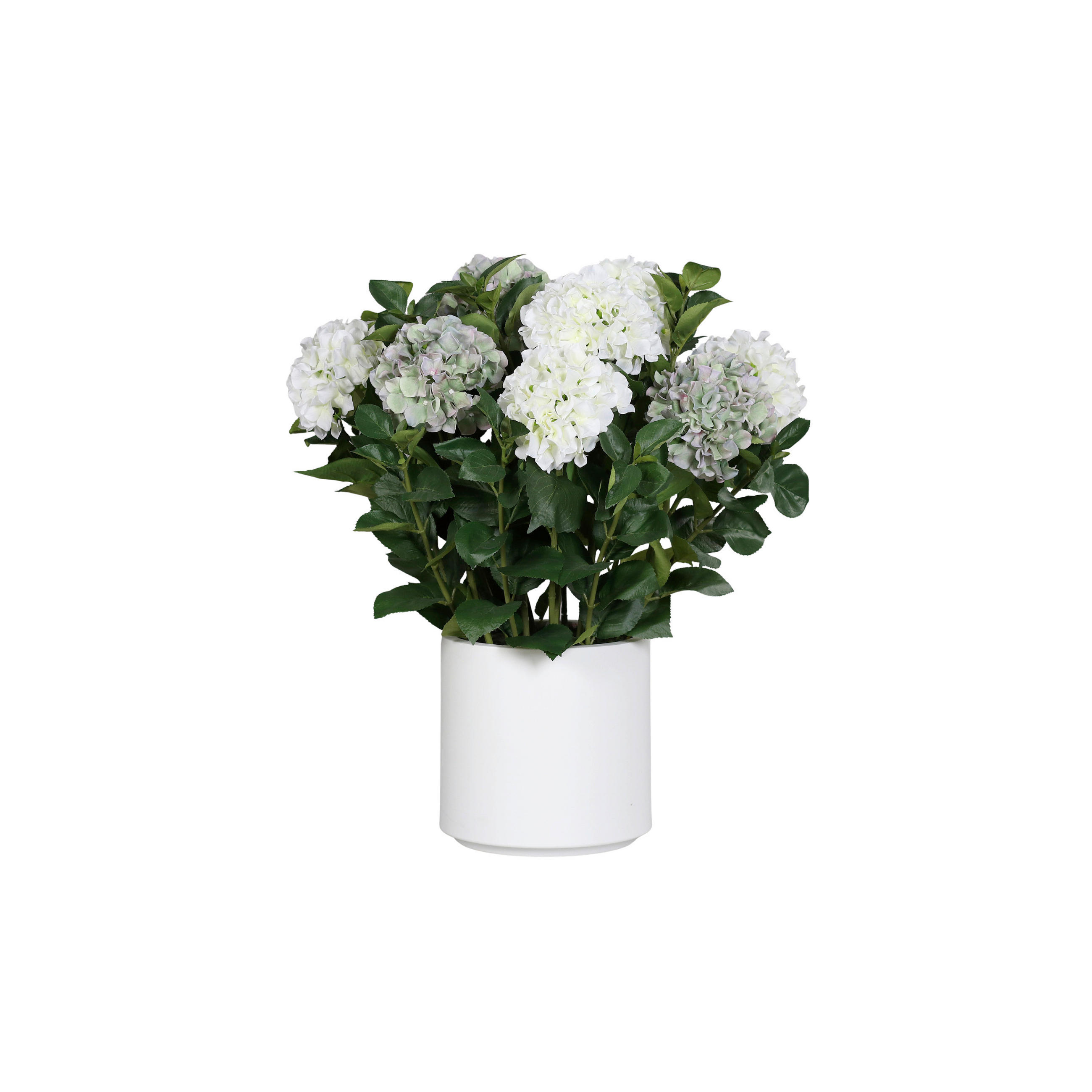 HORTENSIE - Multicolor/Weiß, LIFESTYLE, Kunststoff/Textil (74cm)