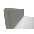 BOXBETT 160/200 cm  in Hellgrau  - Hellgrau/Schwarz, Design, Holz/Holzwerkstoff (160/200cm) - Xora