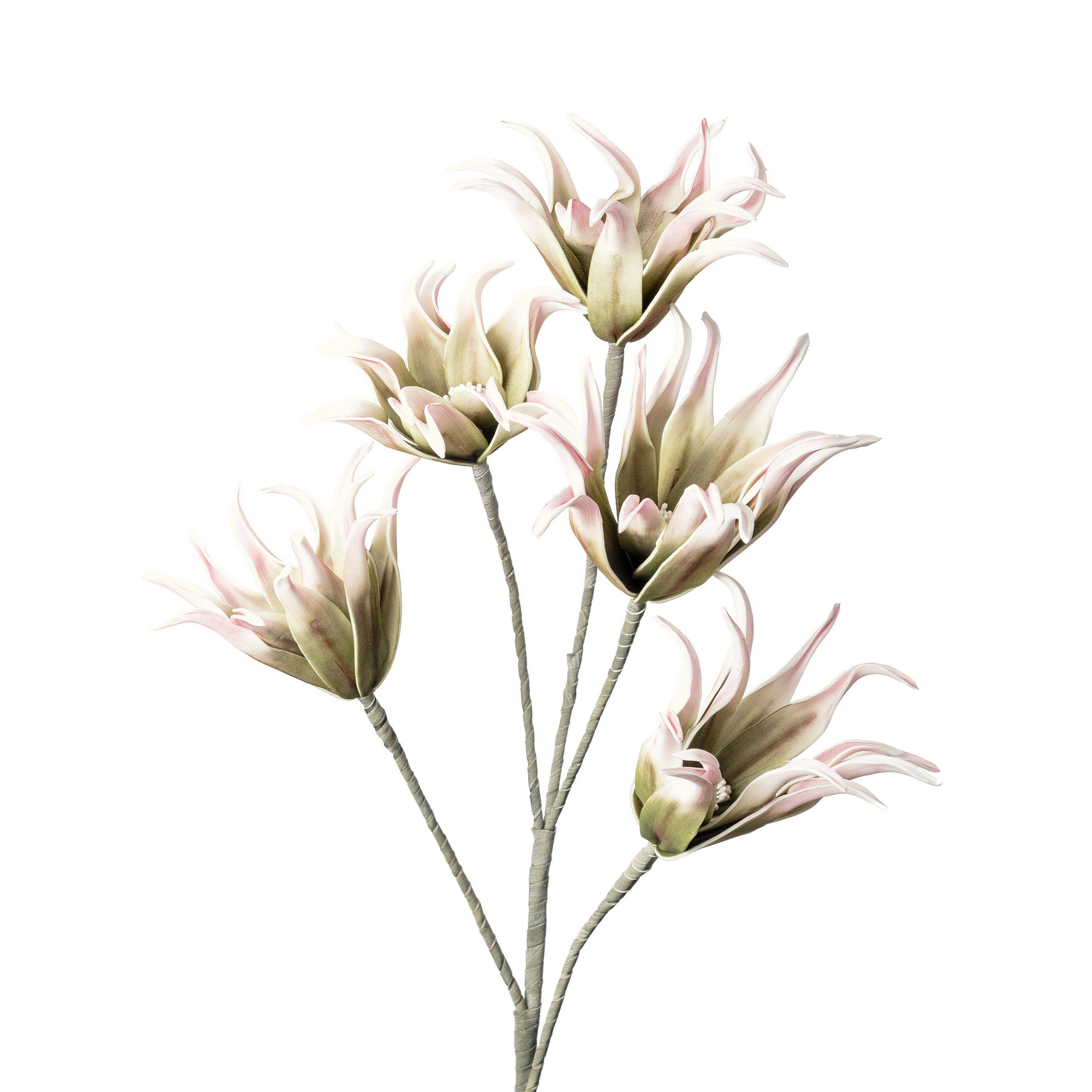 XXXLutz Kunstblume Grün, Weiß, Mauve 115 cm