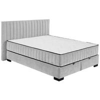 BOXBETT 160/200 cm  in Hellgrau  - Hellgrau/Schwarz, MODERN, Holzwerkstoff/Kunststoff (160/200cm) - MID.YOU