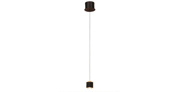 LED-HÄNGELEUCHTE 14/170 cm - Schwarz, Design, Kunststoff/Metall (14/170cm) - Novel
