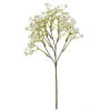GYPSOPHILA  - Creme/Weiß, Basics (46cm)