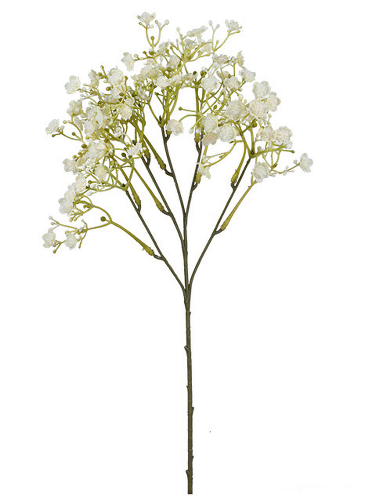 FÁTYOLVIRÁG - barna/krém, Basics (46cm)
