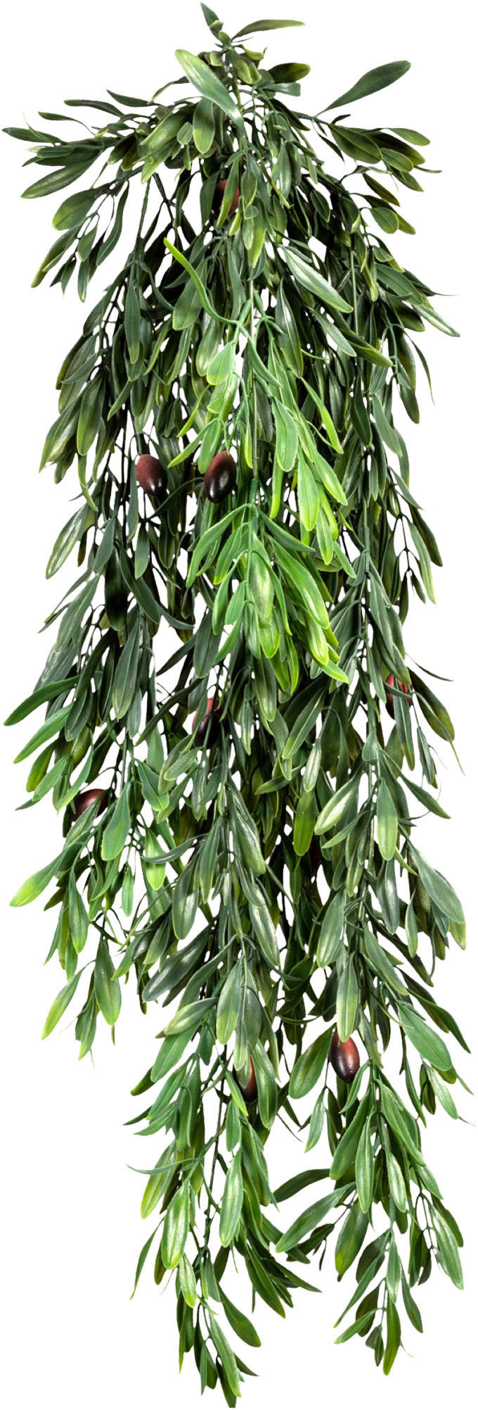 KUNSTPFLANZE Olive 85 cm  - Braun/Grün, Design, Kunststoff (85cm) - P & B