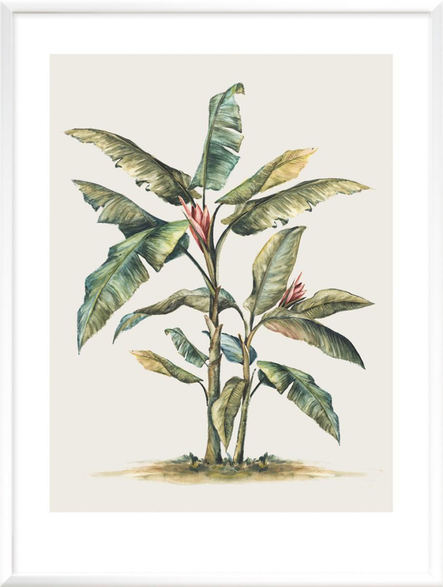 KUNSTDRUCK Spiegelbilder, Blumen 30/40 cm  - Grün, Basics, Papier (30/40cm) - Monee
