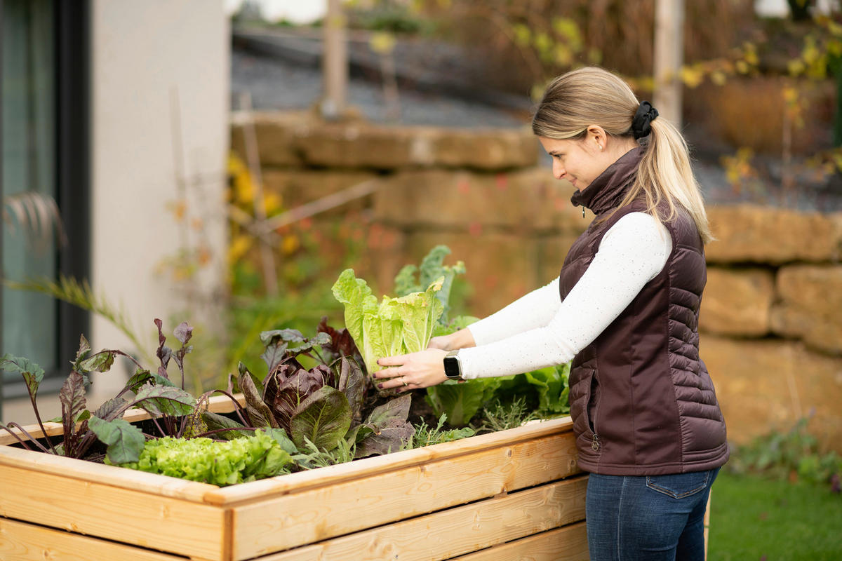 VYVÝŠENÝ ZÁHON   - farba smreka, Basics, drevo (70/90/170cm)