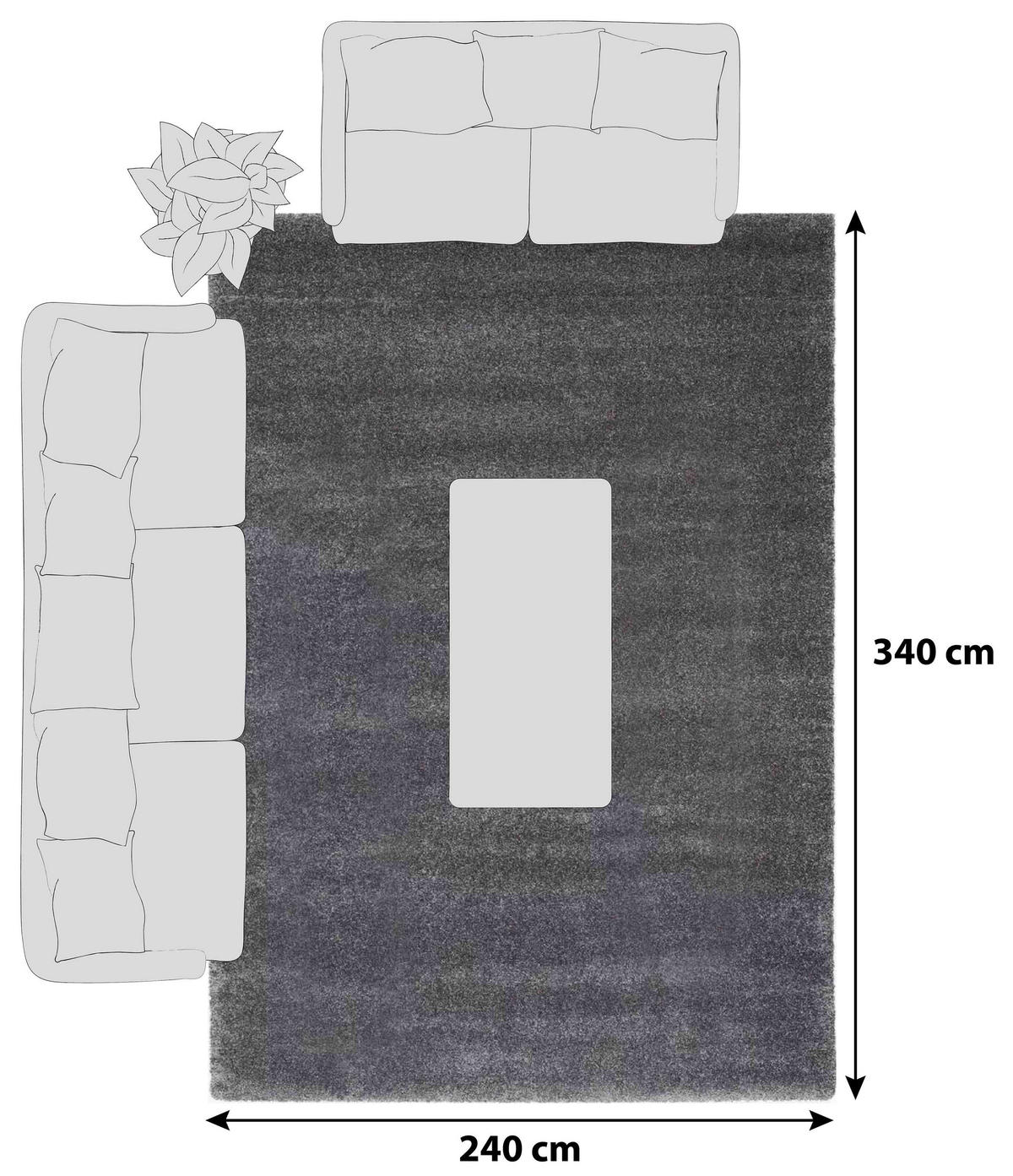 HOCHFLORTEPPICH 240/340 cm Bellevue Dunkelgrau  - Dunkelgrau, Basics, Textil (240/340cm) - Novel