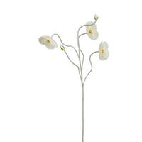 DEKORKVIST - cremefärgad, Basics (107cm)