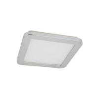 PLAFONIERĂ PENTRU BAIE - culoare crom, Basics, plastic/metal (30cm)