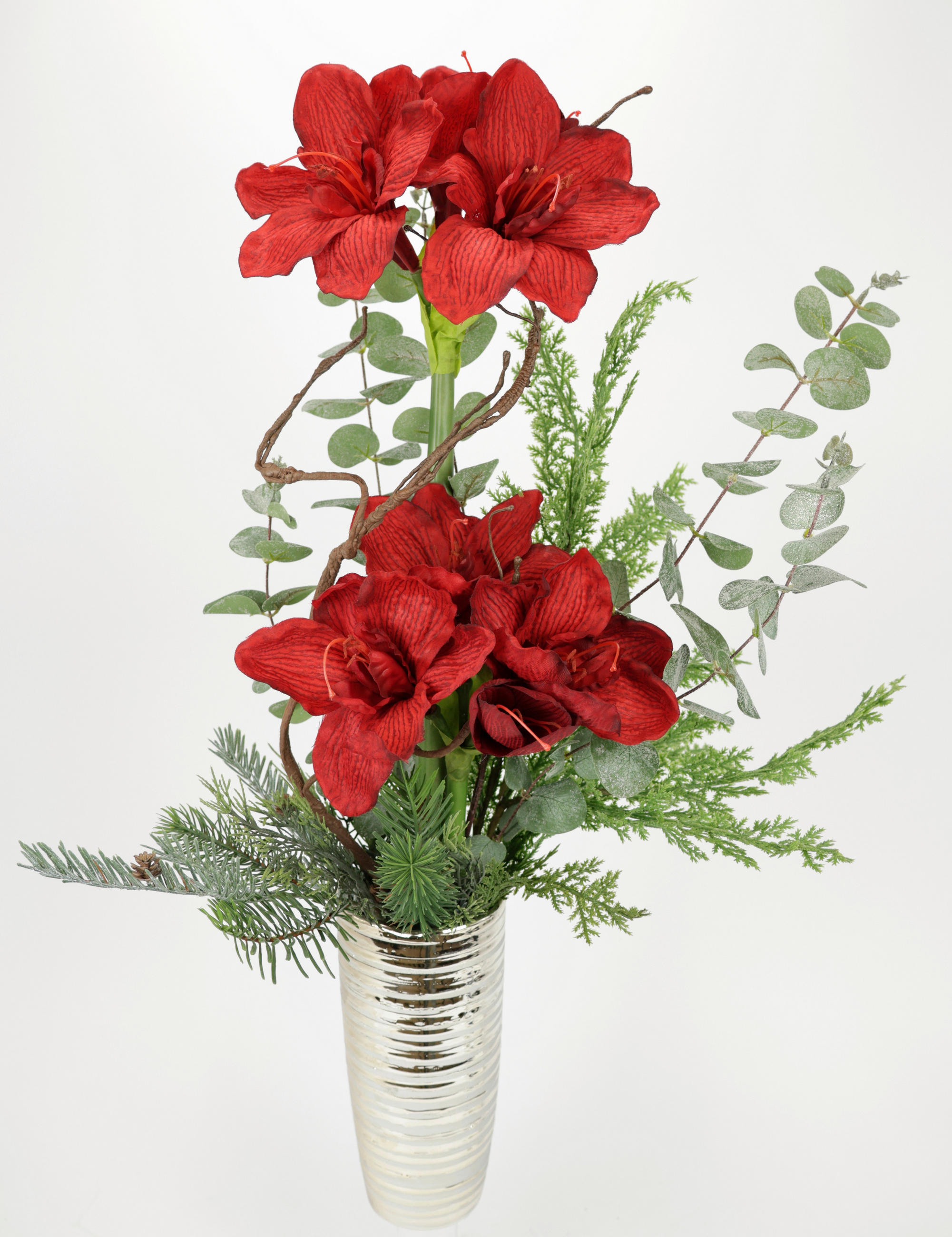AMARYLLIS Amaryllis  - Rot, Basics (47/67/26cm)