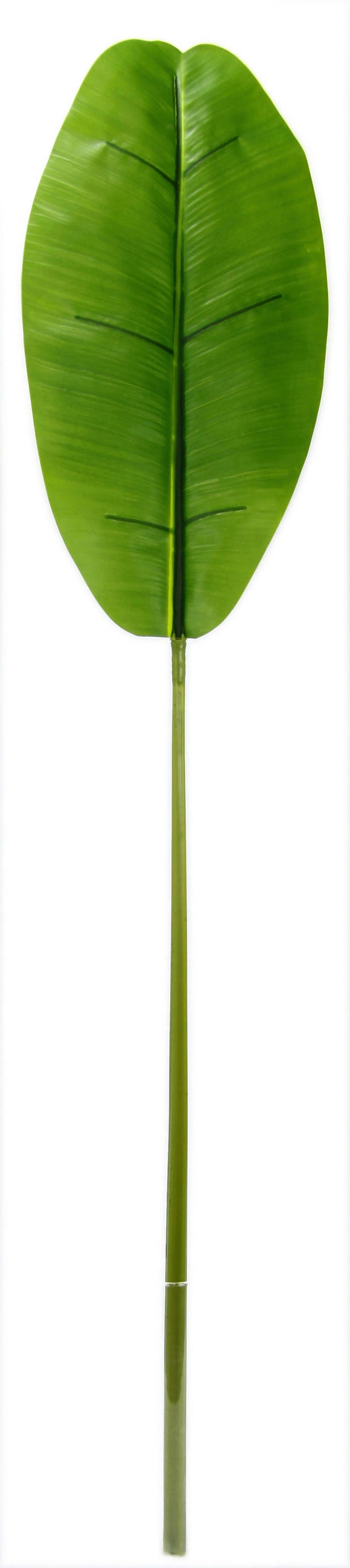 DEKOBLATT 116 cm  - Grün, Basics (116cm)