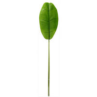 DEKOBLATT 116 cm  - Grün, Basics (116cm)