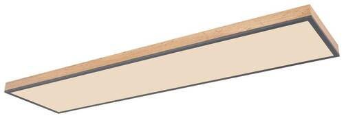 STROPNA LED-SVETILKA DORO //2700-6000 K/230 V/ - barve grafita/opal, Basics, kovina/umetna masa (120/30/7,5cm) - Globo