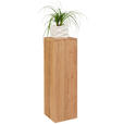 BLUMENSTÄNDER in Holz 25/25/80 cm  - Eichefarben, Natur, Holz (25/25/80cm) - Linea Natura