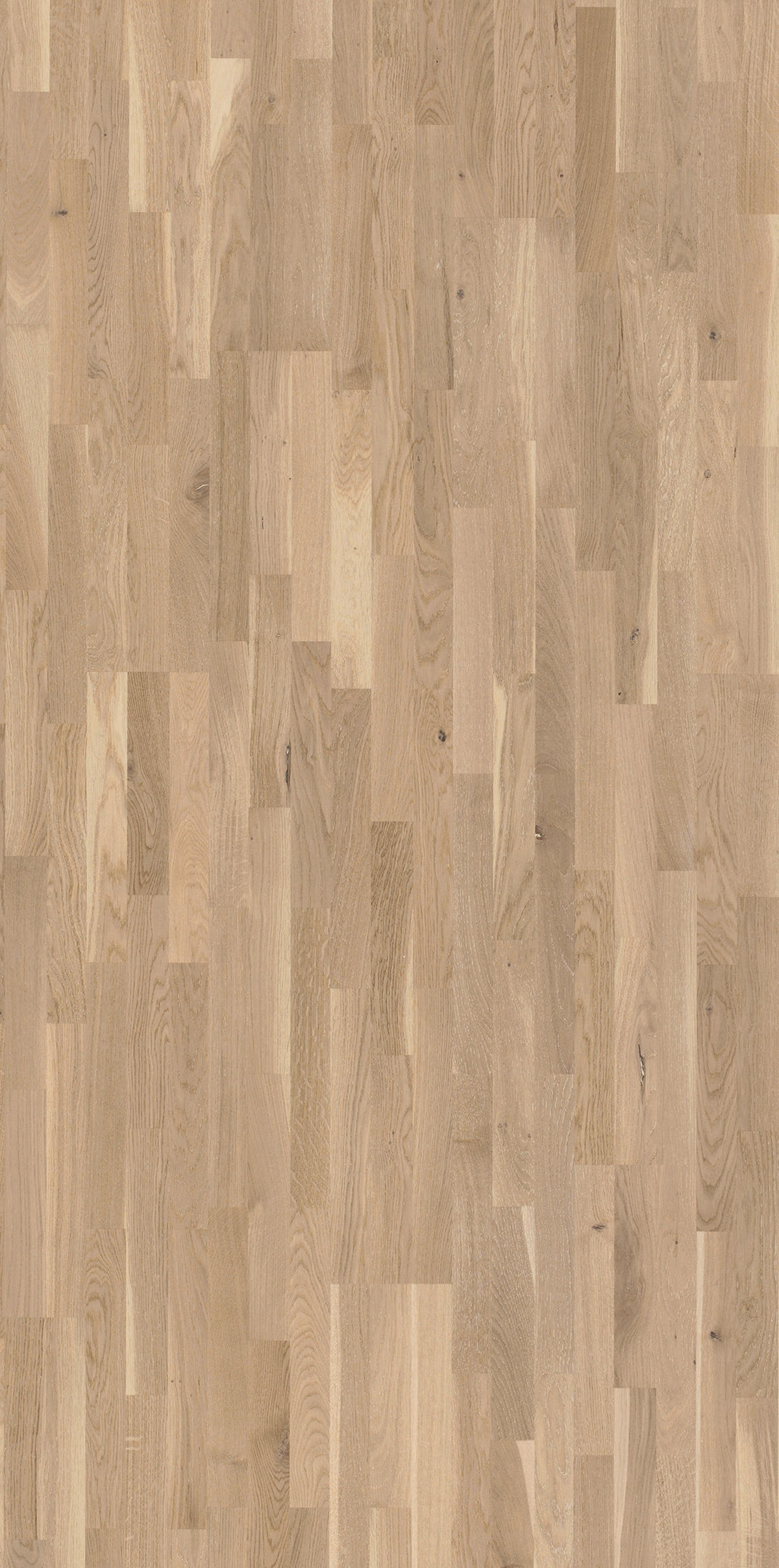 Schiffsboden Eiche weiß matt CLASSIC 3060 1247127  per  m² - Braun/Weiß, LIFESTYLE, Holz (220/18,5/1,3cm) - Parador
