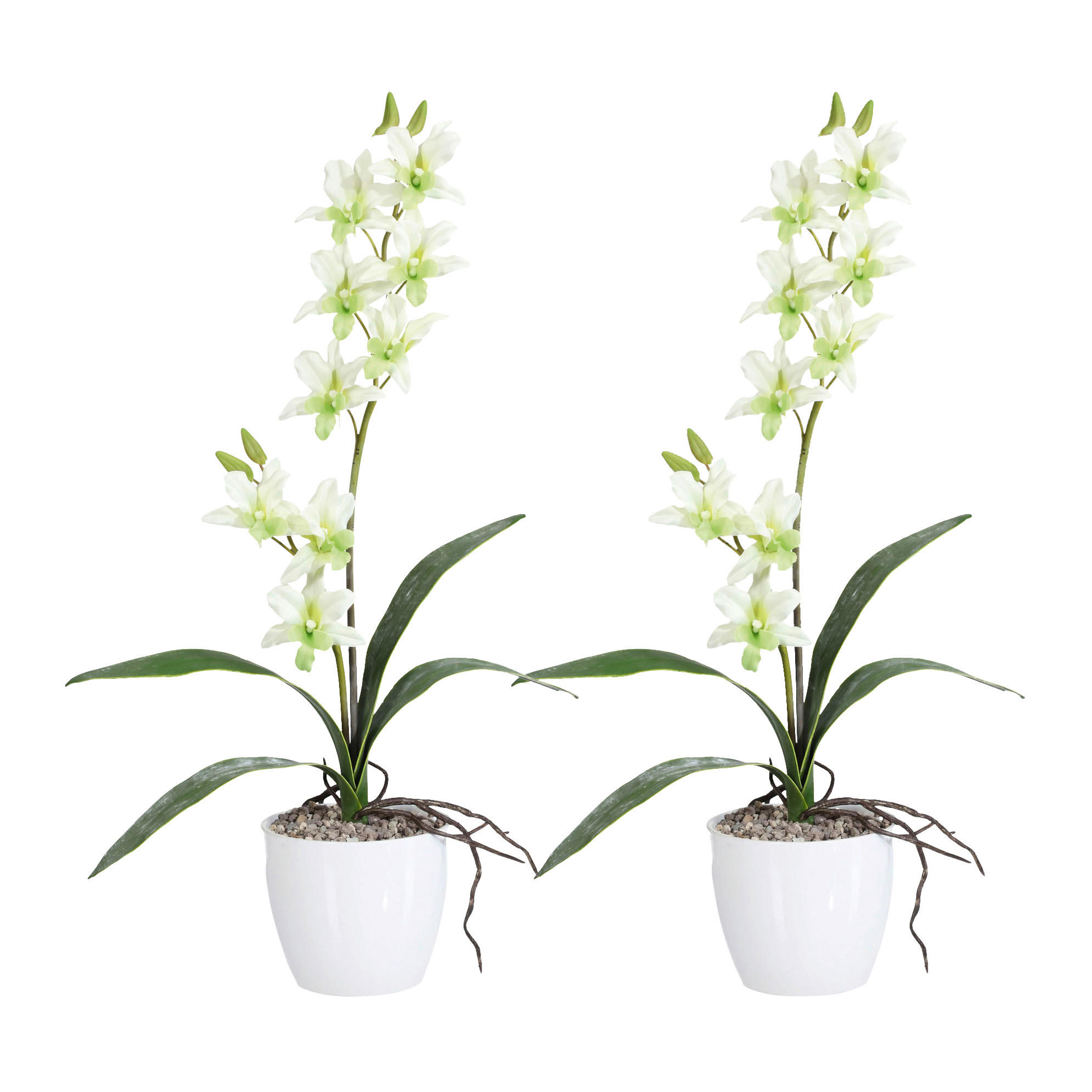 KUNSTPFLANZE Orchidee 60 cm  - Weiß/Hellgrün, Design, Keramik/Kunststoff (60cm) - P & B