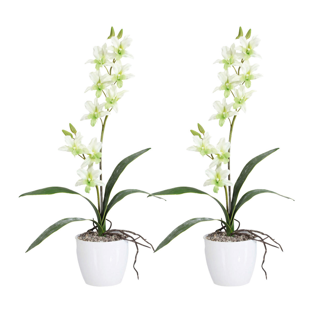 KUNSTPFLANZE Orchidee 60 cm  - Weiß/Hellgrün, Design, Keramik/Kunststoff (60cm) - P & B